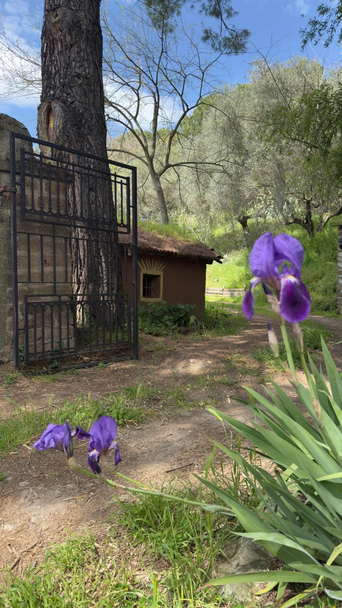 La Casa Del Grillo Βίλα Βιτέρμπο Εξωτερικό φωτογραφία