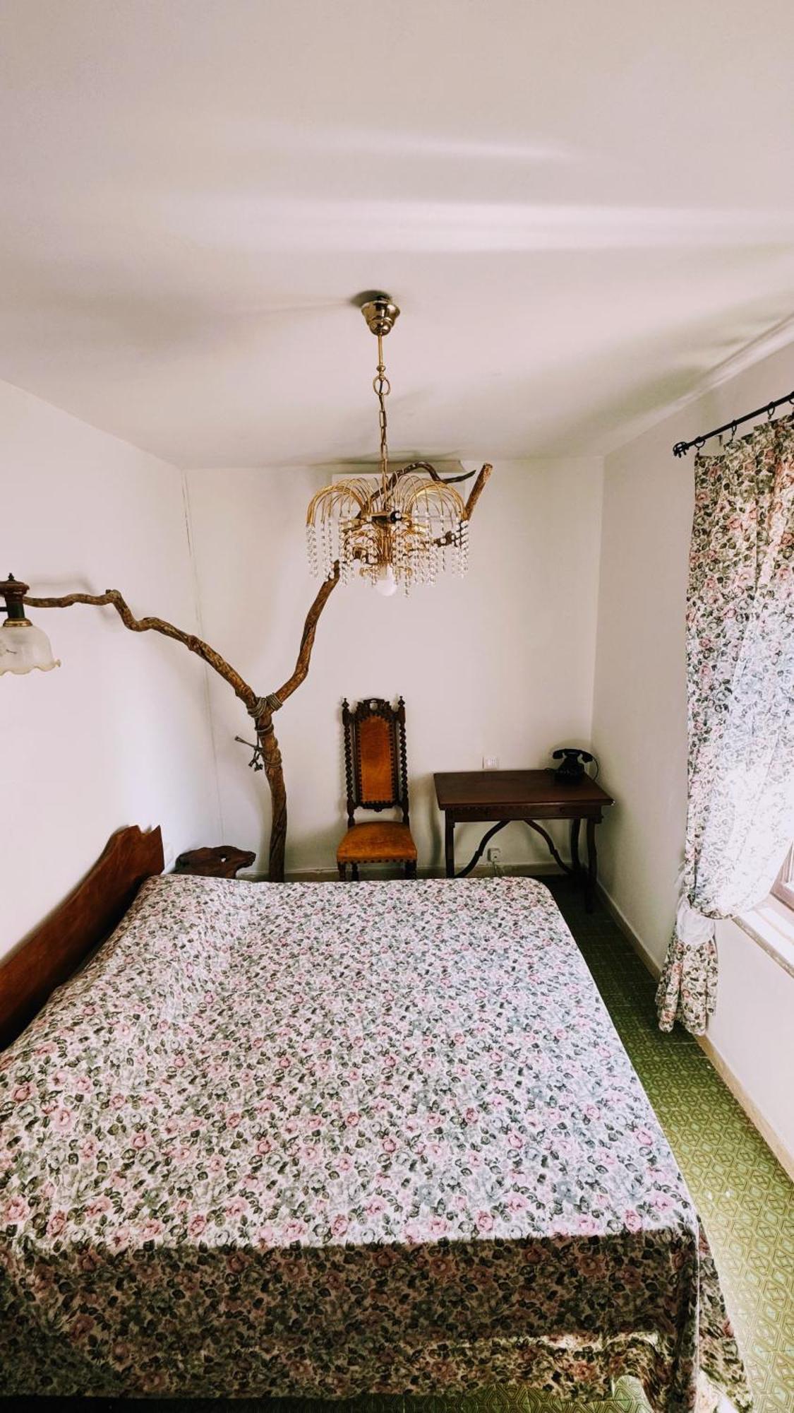 La Casa Del Grillo Βίλα Βιτέρμπο Εξωτερικό φωτογραφία